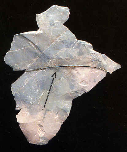 Overshot flake from the Windy City site in Maine.