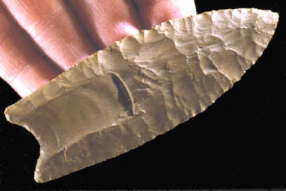 Clovis point from the Vail site in Maine.