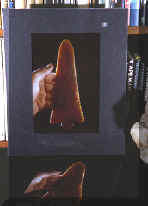 Salon mounted cibachrome print of hand held Ross blade.