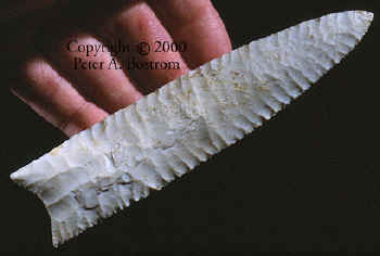 Close up of fine flaking of Dalton point from the Olive Branch site.